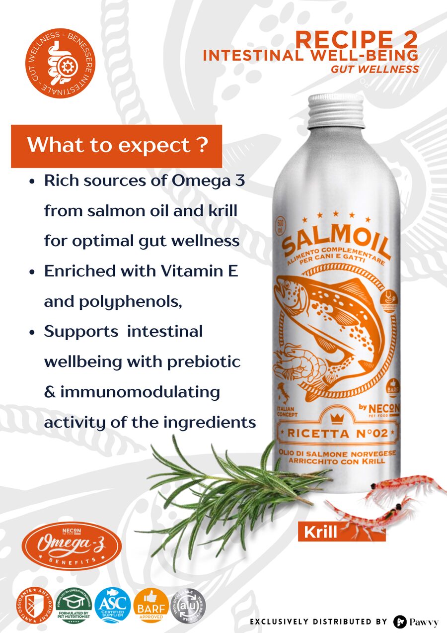 Gut Wellness