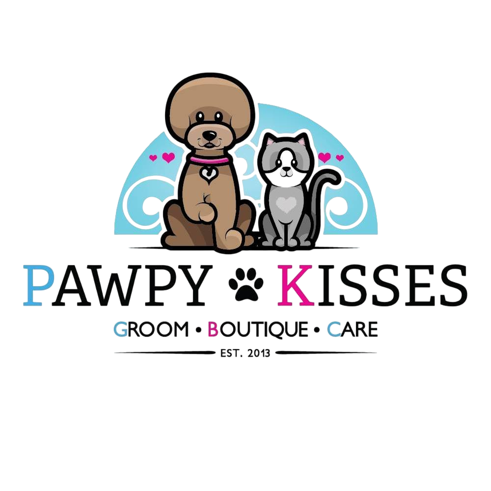 305652821_453587366808665_5932184365987102179_n-Photoroom