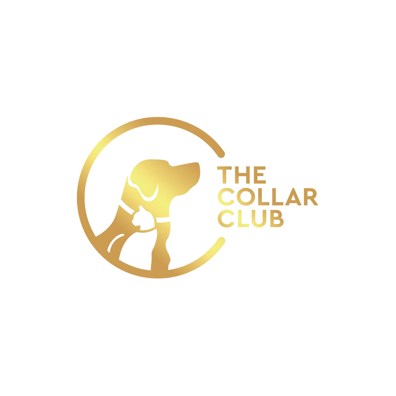 The Collar Club-Photoroom