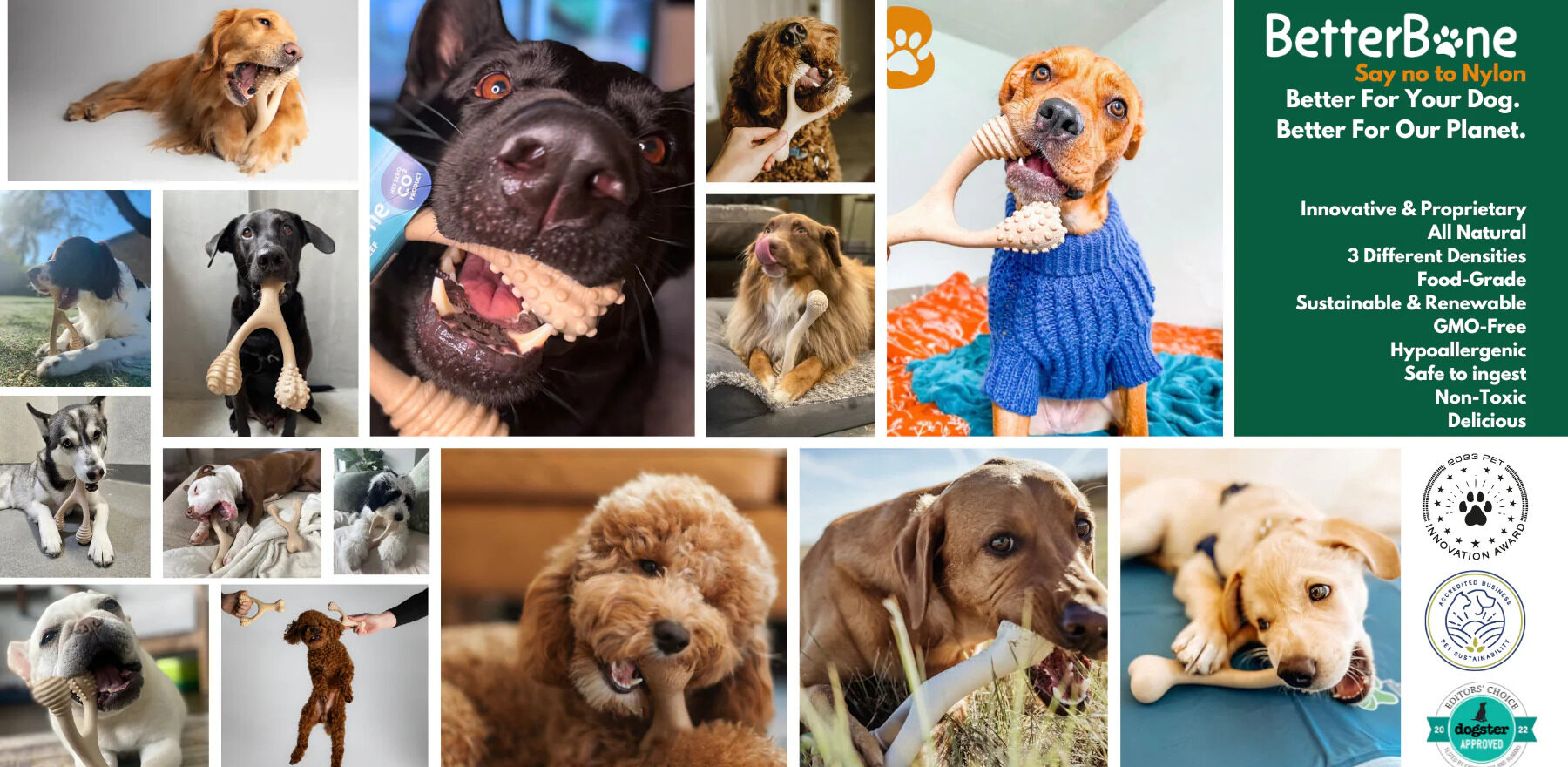 BetterBone all-natural, eco-friendly dog chew designed as a safe and healthy alternative to rawhide